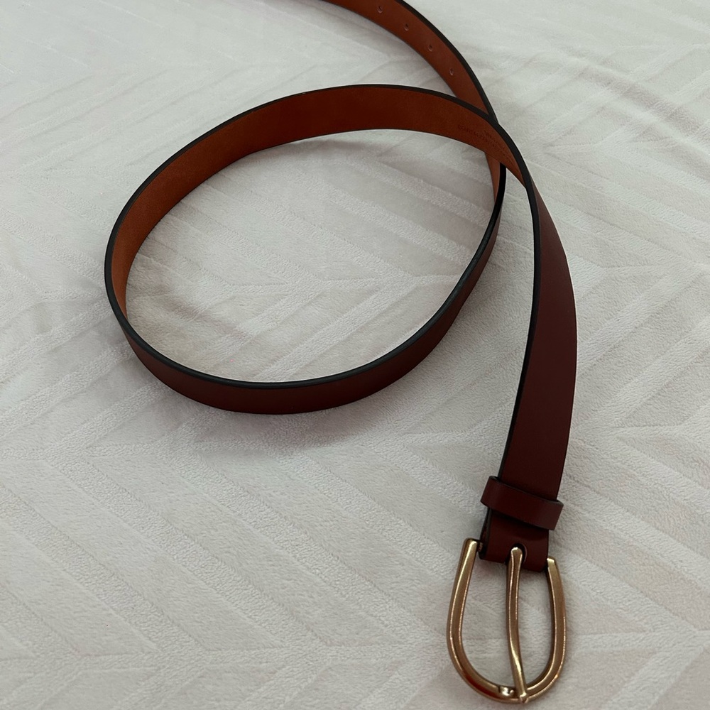 Brown Belt with Gold Buckle